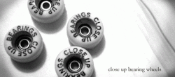 4 Bearing printed wheels (Zip+bag 4 wheels+ 4 real bearings)